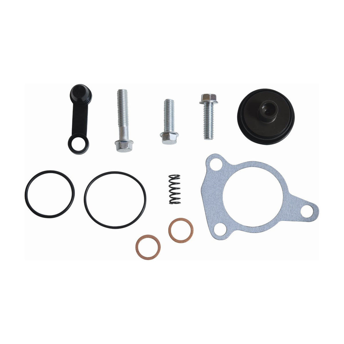 Clutch Slave Cylinder Rebuild SMR450 13-21