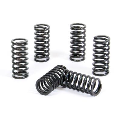 PROX CLUTCH SPRING KIT PX17CS44018