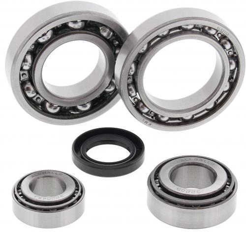 ALL BALLS DIFF. BEARING 25-2019
