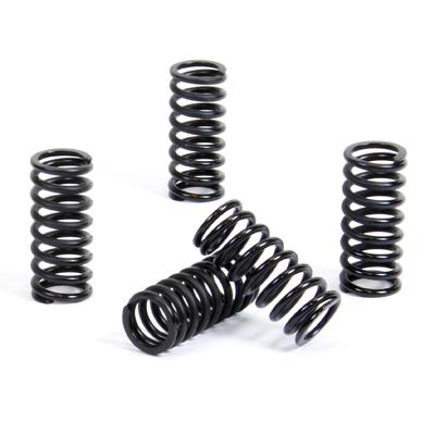 PROX CLUTCH SPRING KIT PX17CS22030
