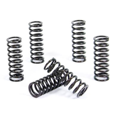 PROX CLUTCH SPRING KIT PX17CS33025