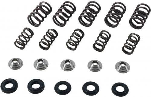HOT CAMS VALVE SPRING KIT HCSKYFM660S2