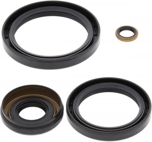 ALL BALLS DIFF. SEAL KIT FRONT 25-2066-5