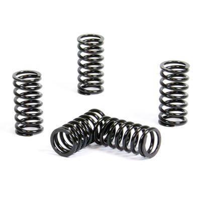 PROX CLUTCH SPRING KIT PX17CS13004