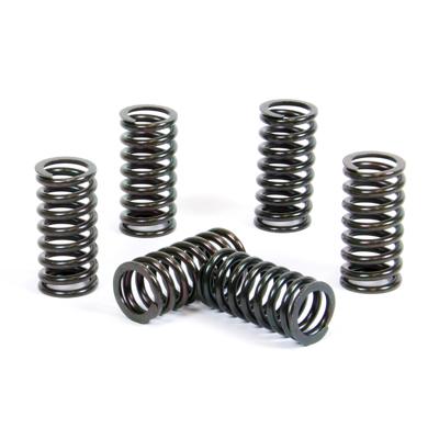 PROX CLUTCH SPRING KIT PX17CS33024