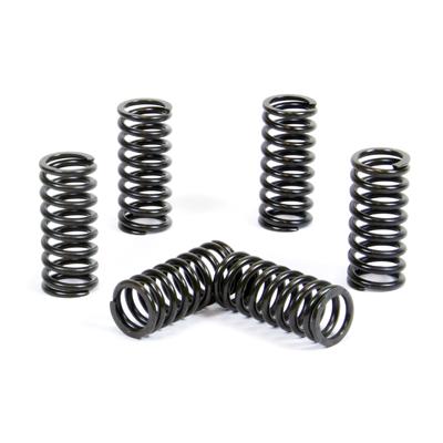 PROX CLUTCH SPRING KIT PX17CS24037