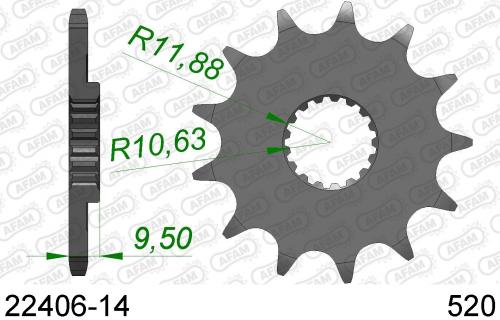 AFAM FRONT 14T, 520 AF12240614