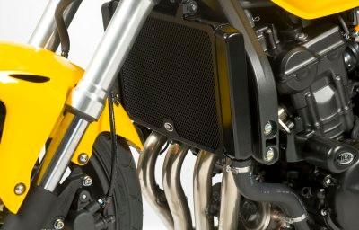 R&G RADIATOR GUARD, BLACK 41590160