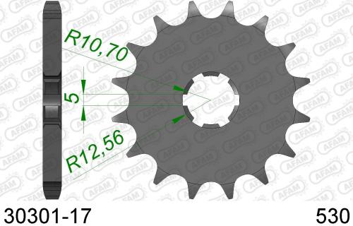 AFAM FRONT 17T, 530 AF13030117