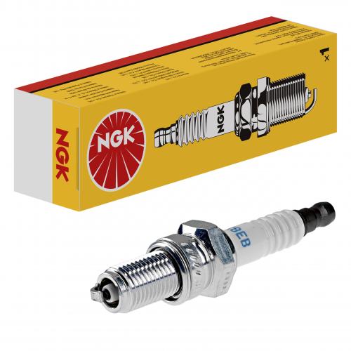 NGK 4855 DR8EB