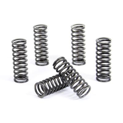 PROX CLUTCH SPRING KIT PX17CS34027