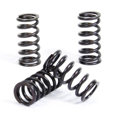PROX CLUTCH SPRING KIT PX17CS16046