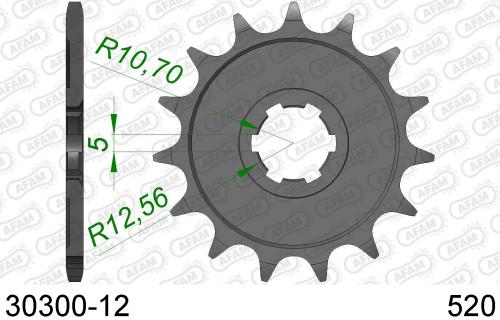 AFAM FRONT 12T, 520 AF13030012