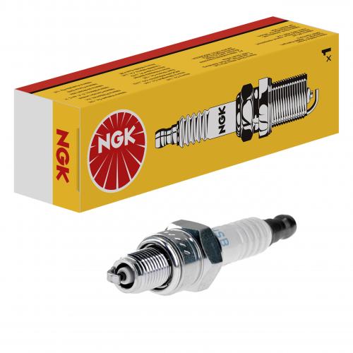 NGK 6208 LR8B