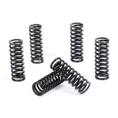 PROX CLUTCH SPRING KIT PX17CS23033