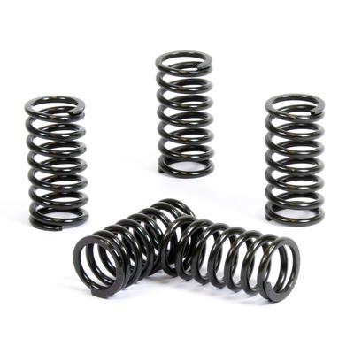 PROX CLUTCH SPRING KIT PX17CS12003
