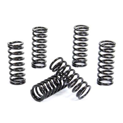 PROX CLUTCH SPRING KIT PX17CS13006