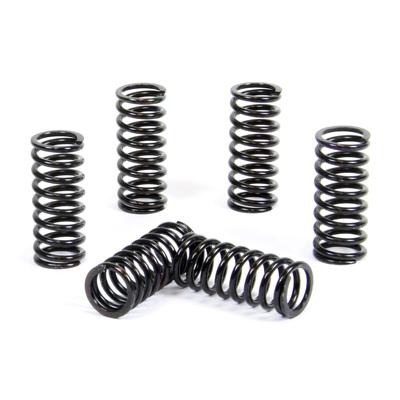 PROX CLUTCH SPRING KIT PX17CS63051