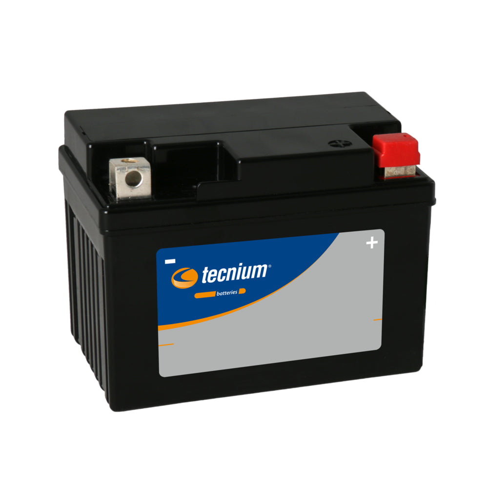 Maintenance Free Battery BT12B-4 1077839