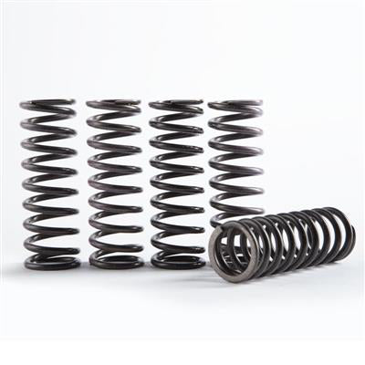 Hi-Temp Clutch Spring Kit CRF250R 18-26 CS189-5-0613
