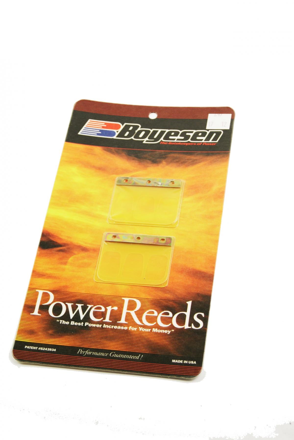 BOYESEN REEDS 697 YZ125 01-02, BR001697
