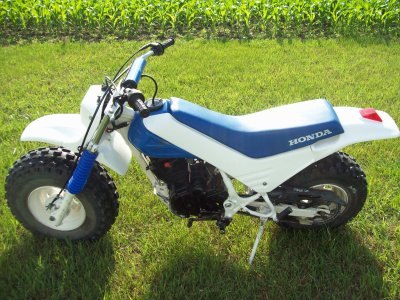 1986/1987 Honda TR 200 TR200 Fat Cat Plastic Kit