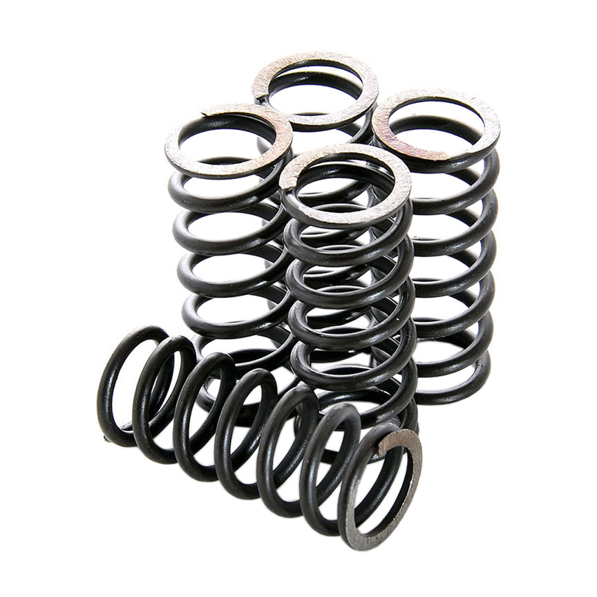 DP Clutch Spring Kit HDS32-6