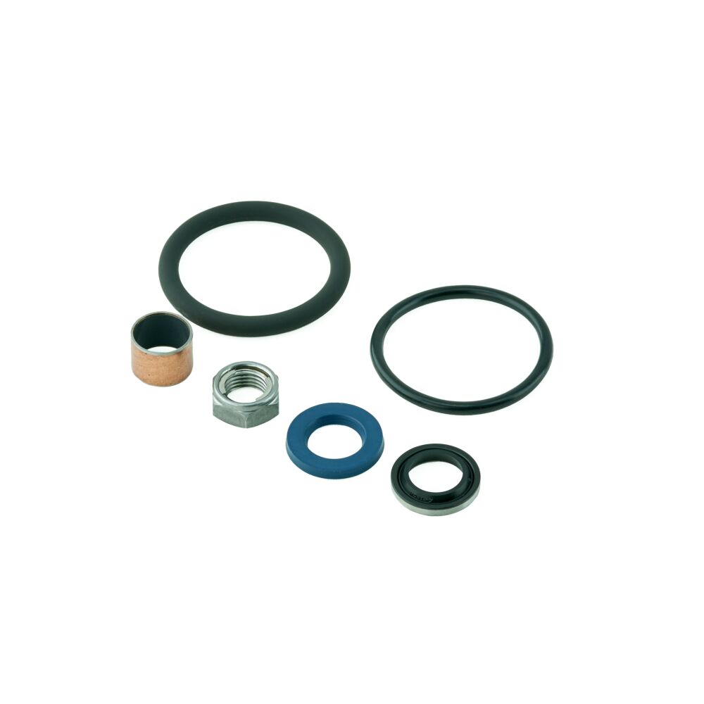Shock Absorber Seal Head Service Kit -Sachs 46/14