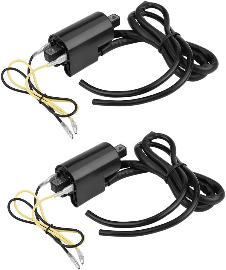 2PCS IGNITION COIL SUZUKI GSF400 GSF600 GSF1200 BANDIT