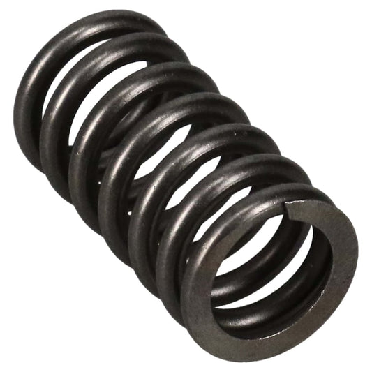 CLUTCH PRESSURE PLATE SPRING AMERICAN V-TWIN 93LB BLACK STRIPE REKLUSE 442-123