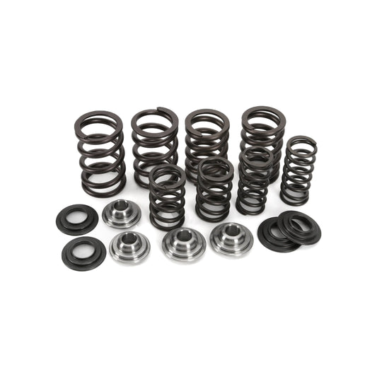 VALVE SPRING SET LTR 450 06-09, KIBBLEWHITE 60-60280, RACING SPRING KIT