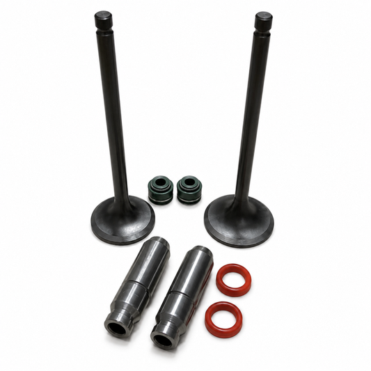 VALVE SET INTAKE EXHAUST & VALVE SEALS + GUIDES SUZUKI GN GZ GS DR125 12911-04B00 12912-24400