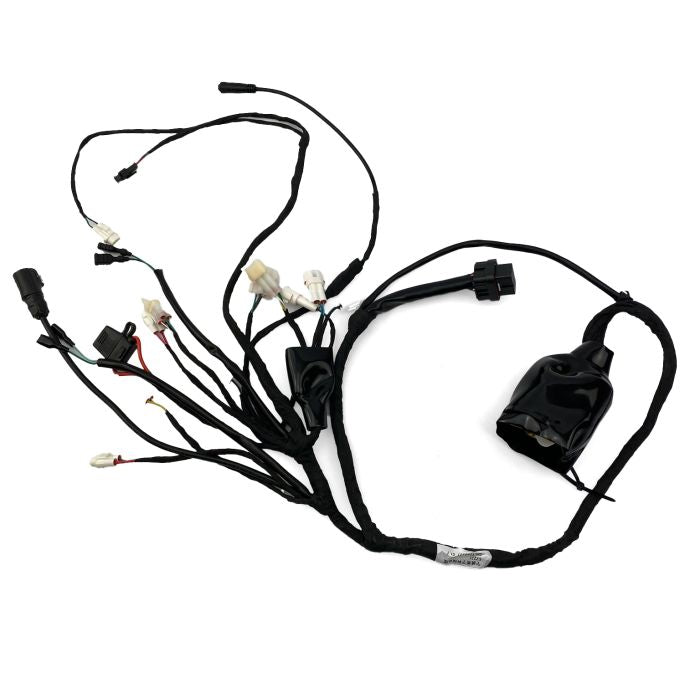 ERIDE PRO SS 2.0 3.0 MAIN WIRING HARNESS LOOM ASSEMBLY WITH BT E7015