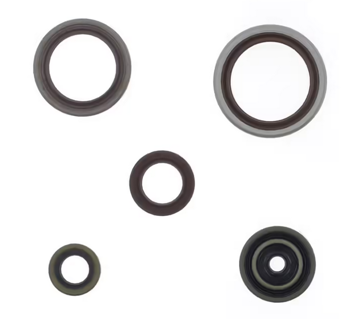 ENGINE OIL SEAL SET BETA 250/300 13-25, ATHENA P400060400014