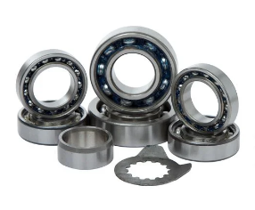 1999-2025 Yamaha YZ250 & 2016-2025 YZ250X TRANSMISSION BEARING KIT, HOTRODS TBK0065