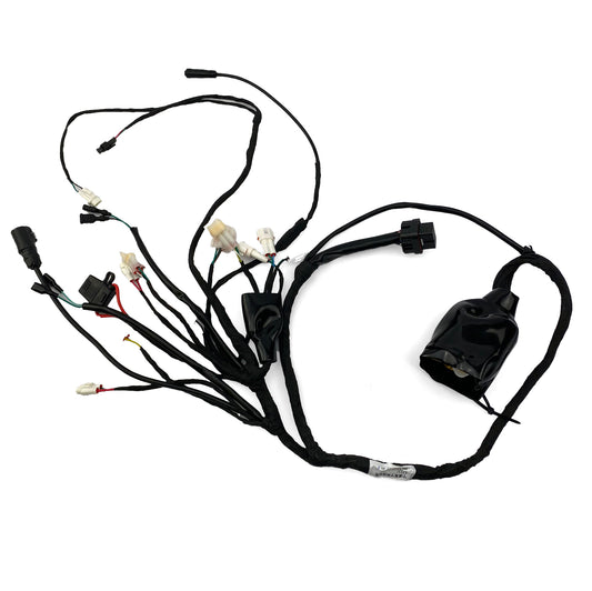 ERIDE PRO LE1 MAIN WIRING HARNESS LOOM ASSEMBLY
