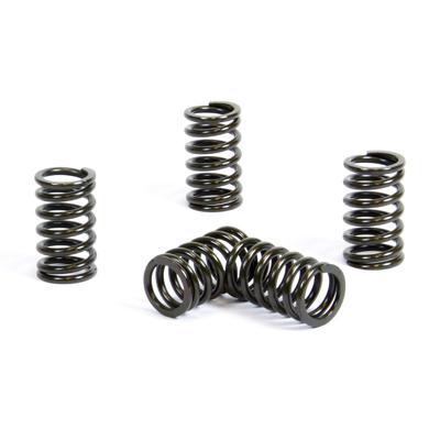 PROX CLUTCH SPRING KIT PX17CS42016
