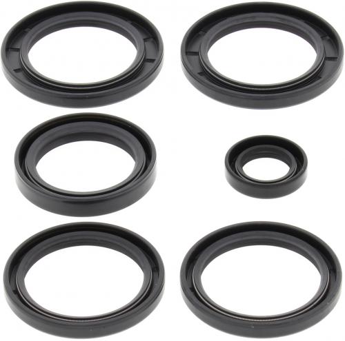 ALL BALLS DIFF. SEAL KIT REAR 25-2062-5