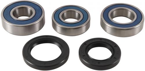 ALL BALLS WHEEL BEARING KIT 25-1754