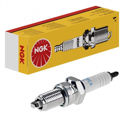 NGK 4929 DPR8EA-9