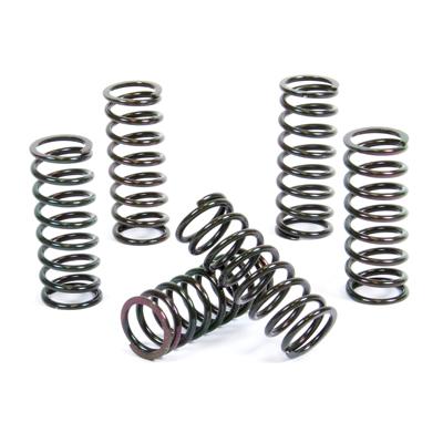 PROX CLUTCH SPRING KIT PX17CS44019