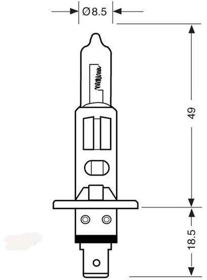 ELECTRICAL BULB 12V 55W H1 GILERA SCOOTERS 448