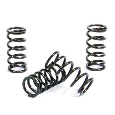 PROX CLUTCH SPRING KIT PX17CS12010