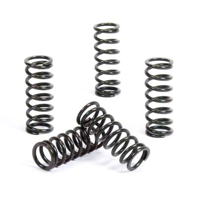 PROX CLUTCH SPRING KIT PX17CS31021