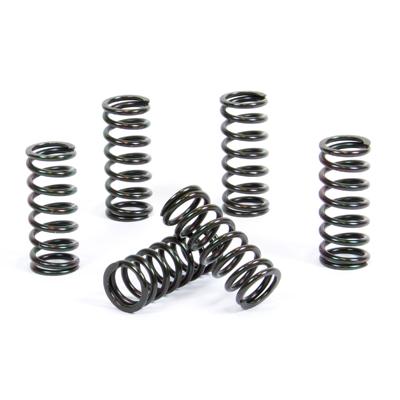 PROX CLUTCH SPRING KIT PX17CS23032