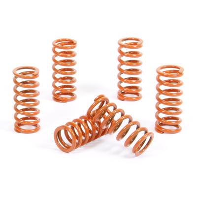 ProX clutch spring kit Beta RR250 ENDURO 2005–2007 17.CS65041