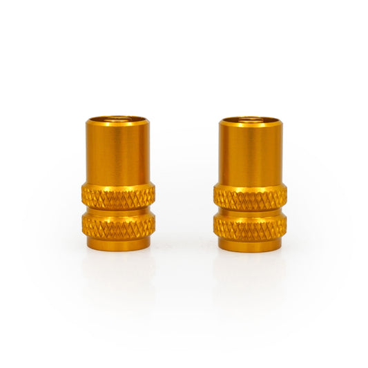 Sport Valve Caps with Valve Key (2 pcs) FXVC3000000GD
