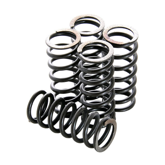 Clutch Spring Kit HDS32-6