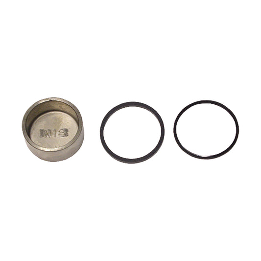 Caliper Piston & Seal Kit 43mm x 21mm B17-6221