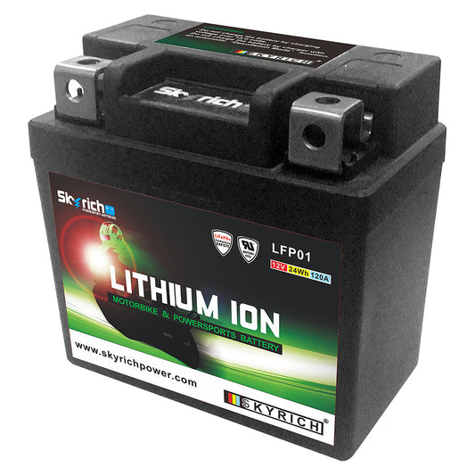 Lithium Ion Battery LFP01